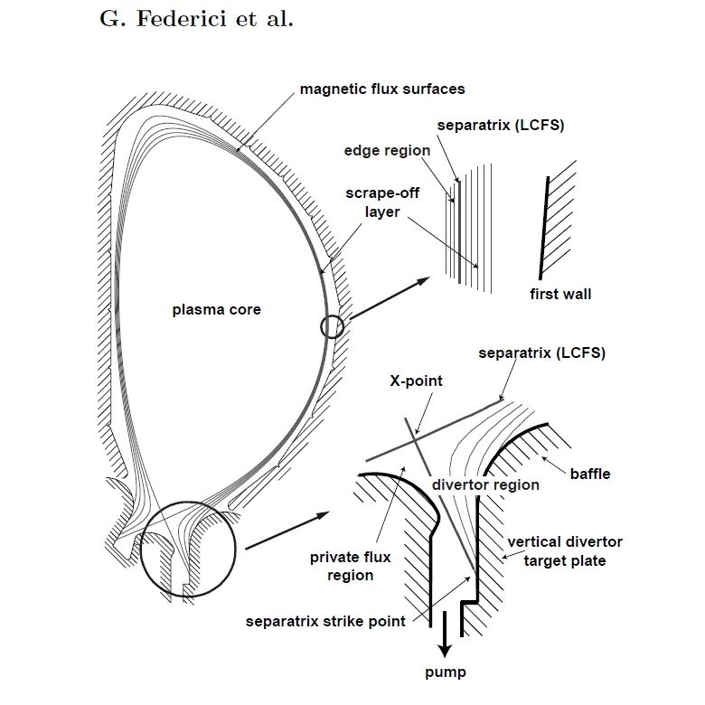 Tokamak simulation visualization